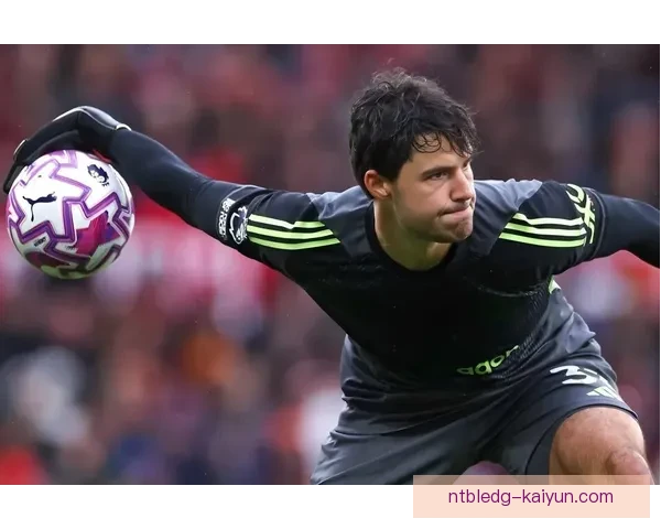 英超2023年最佳球员排名揭晓，明星球员竞争激烈值得关注